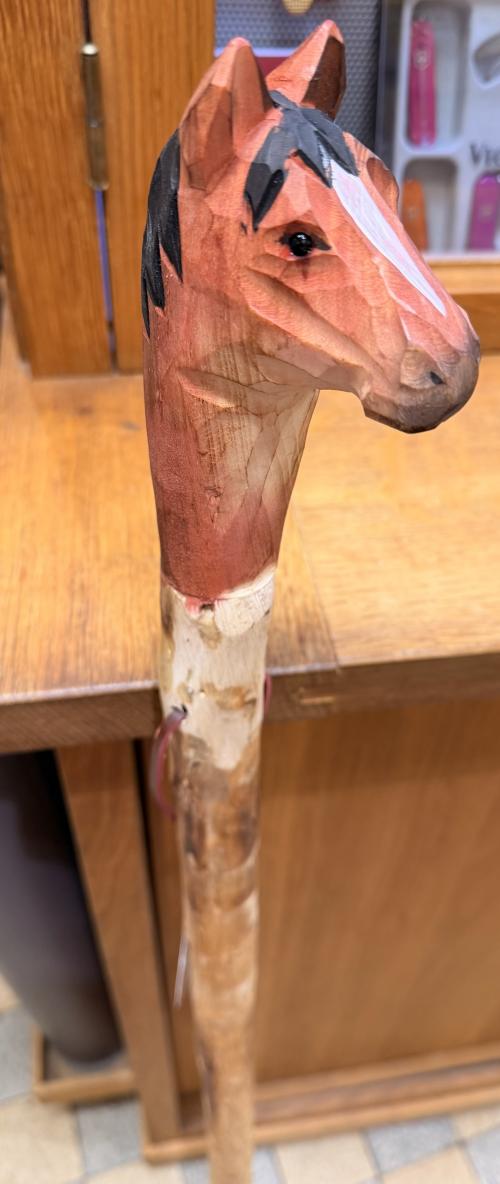 baton de marche cheval