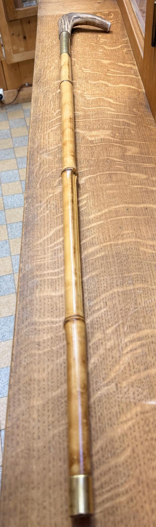 canne épée bois de cerf
